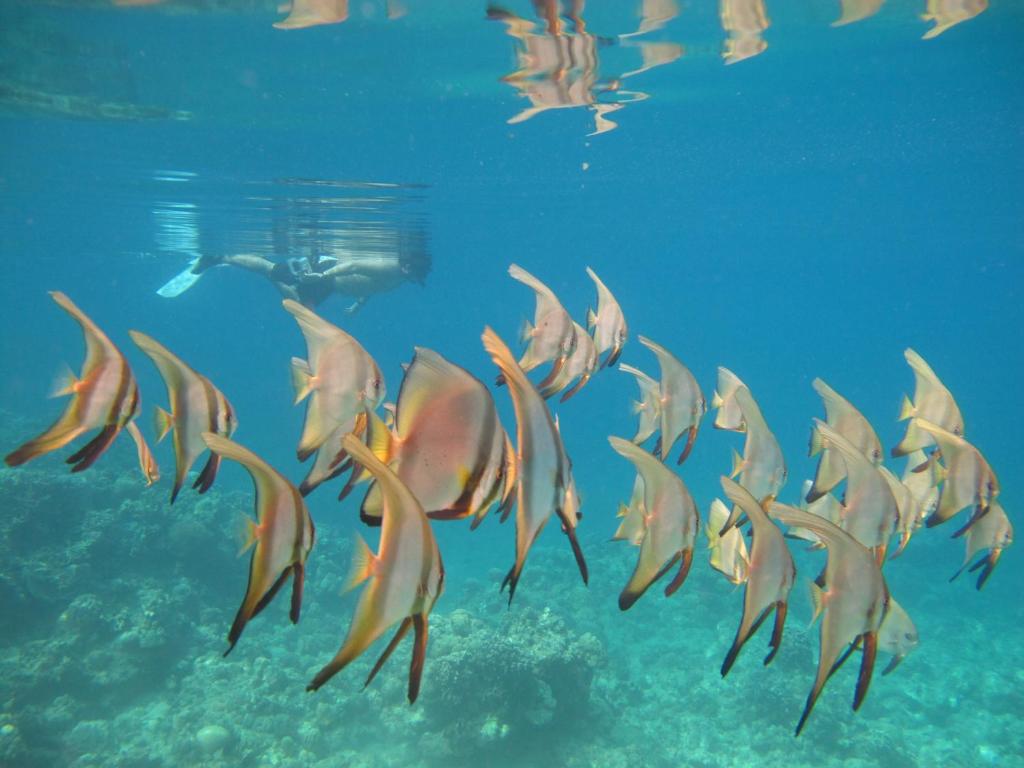 Sports and activities