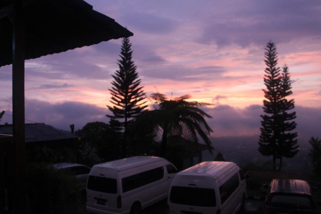 Sukuh Cottage photo