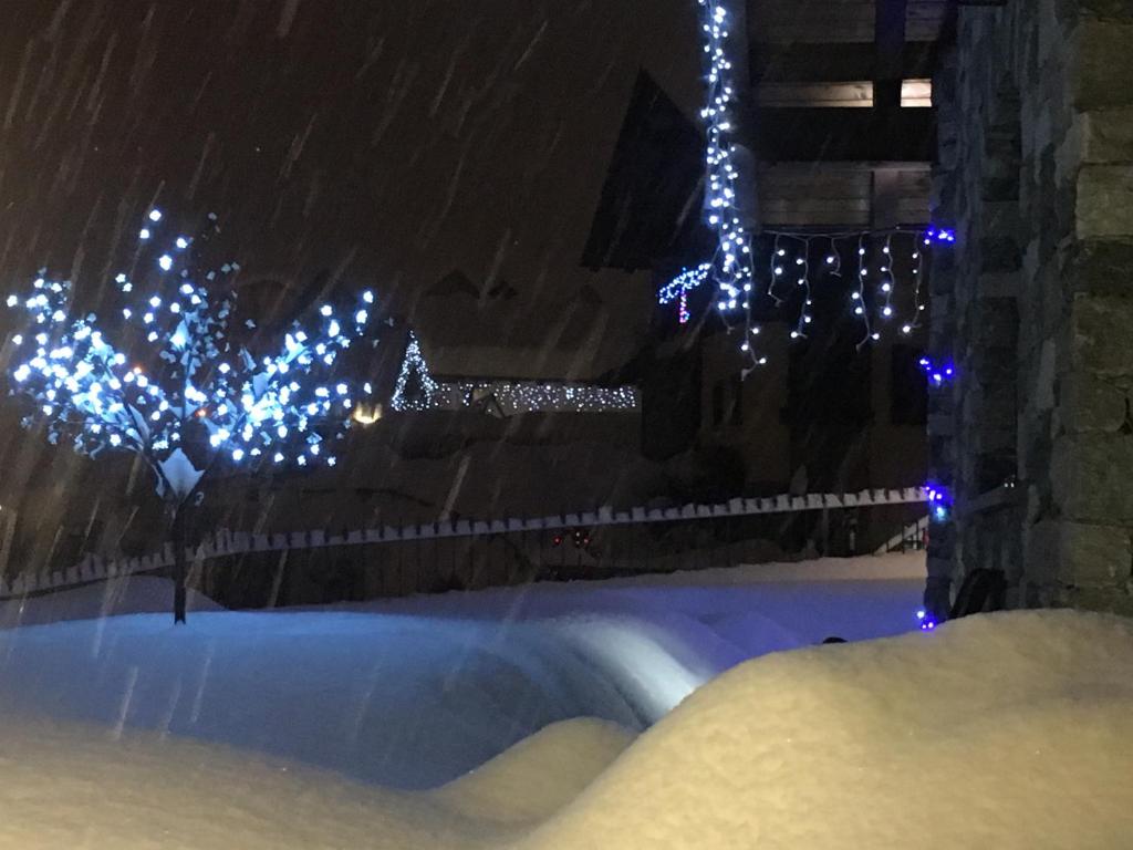 Appartamento Fleur Des Neiges - 3
