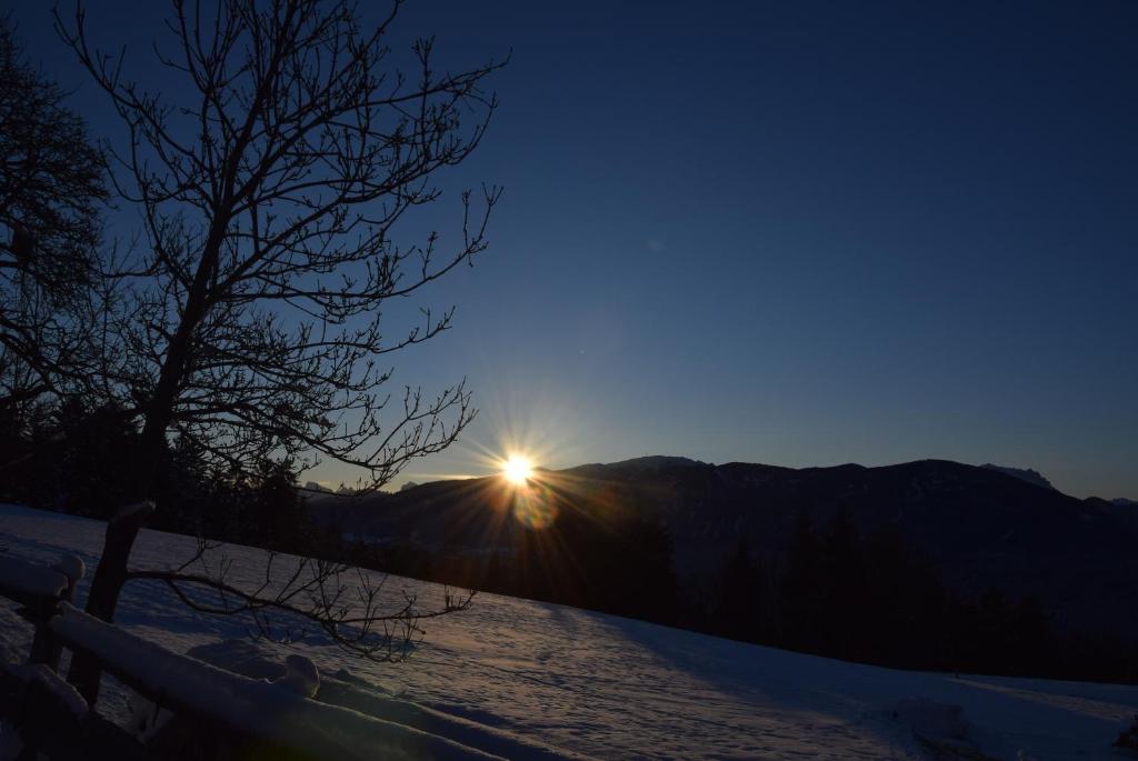 Niederhaeusererhof - 5