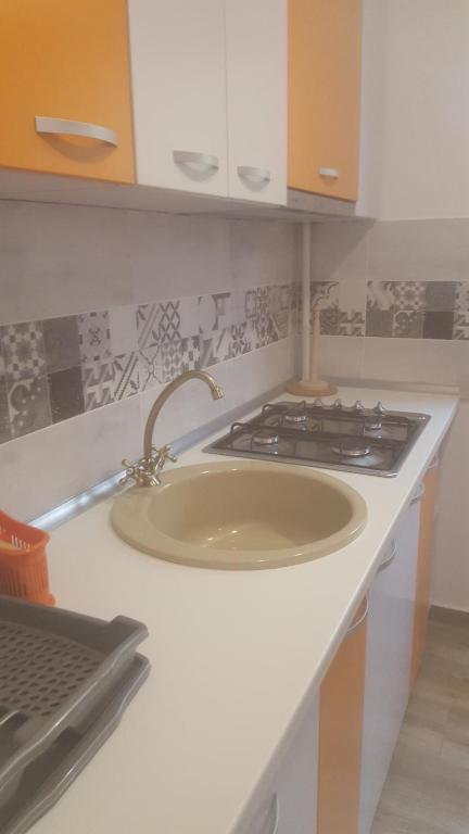 Pensiune Spital Fundeni photo