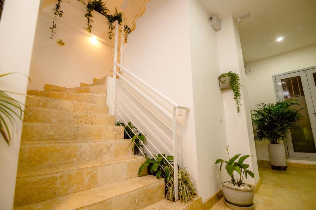 Luxury Apartments in Historic Center El Cactus photo