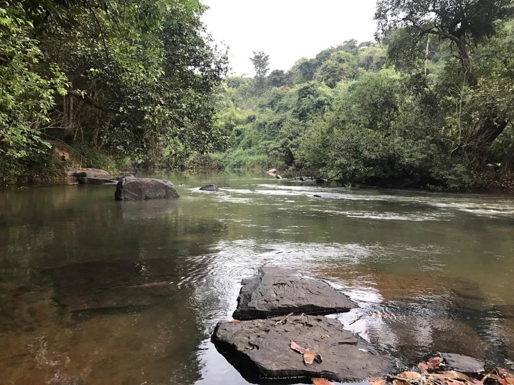 Surrounding environment