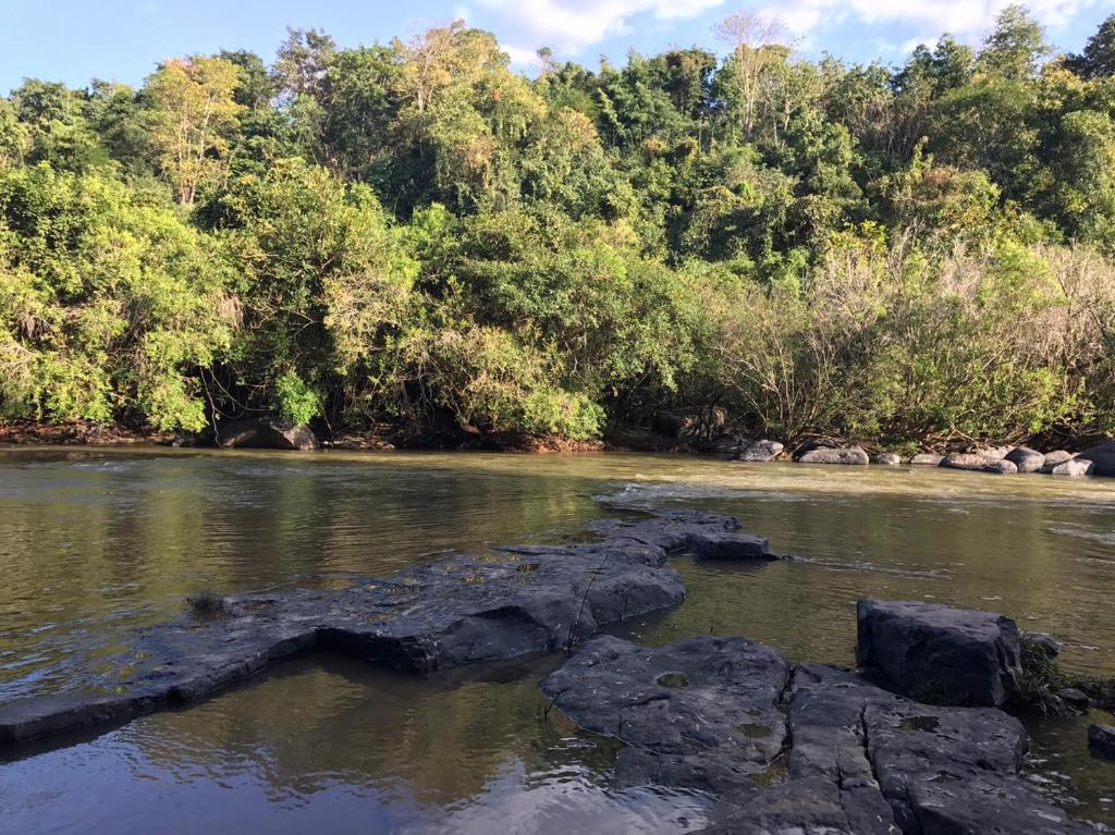 Surrounding environment