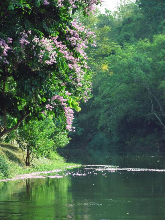 Surrounding environment