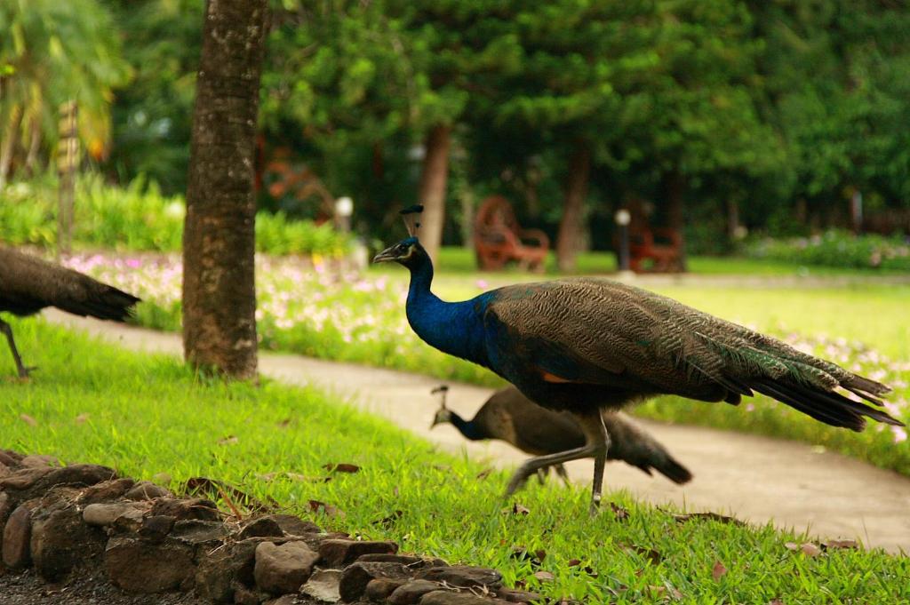 Surrounding environment