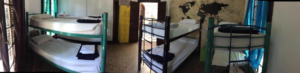 8베드 도미토리룸 내 디럭스 침대 