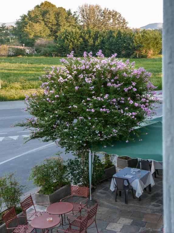 Tuscan Sun Holiday Apartments photo