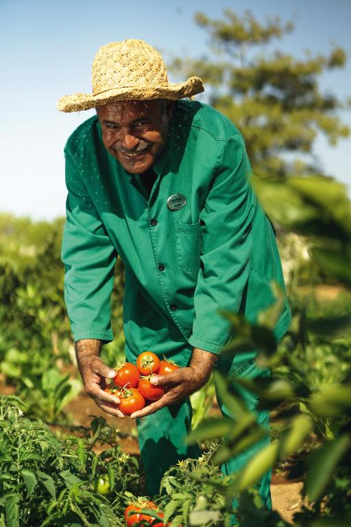 Mövenpick Resort Sharm El Sheikh Photo 2
