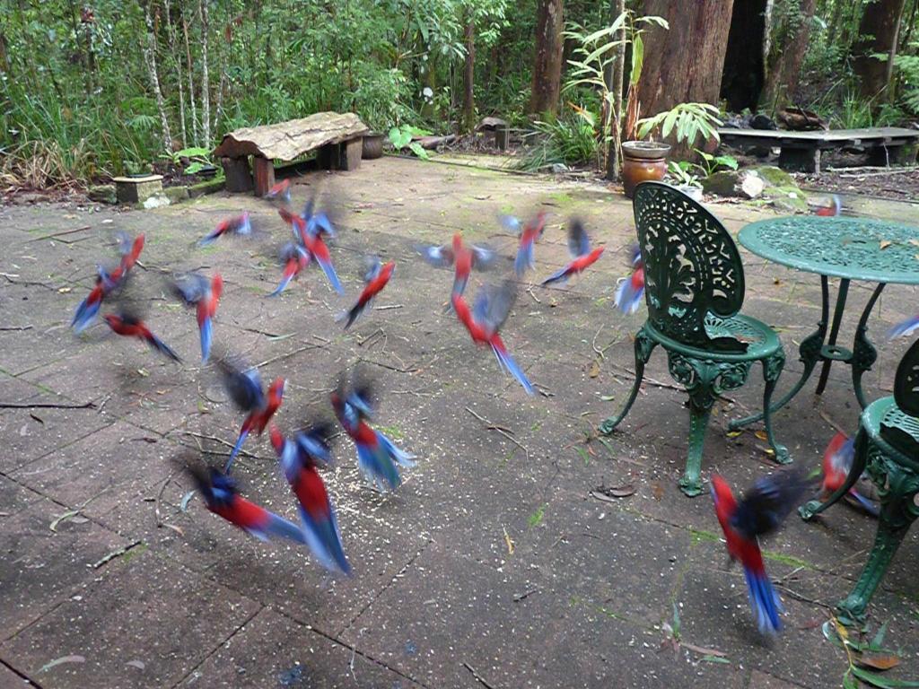 Springbrook Storybook photo