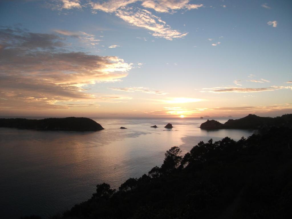 Tatahi Cove Back Packer photo