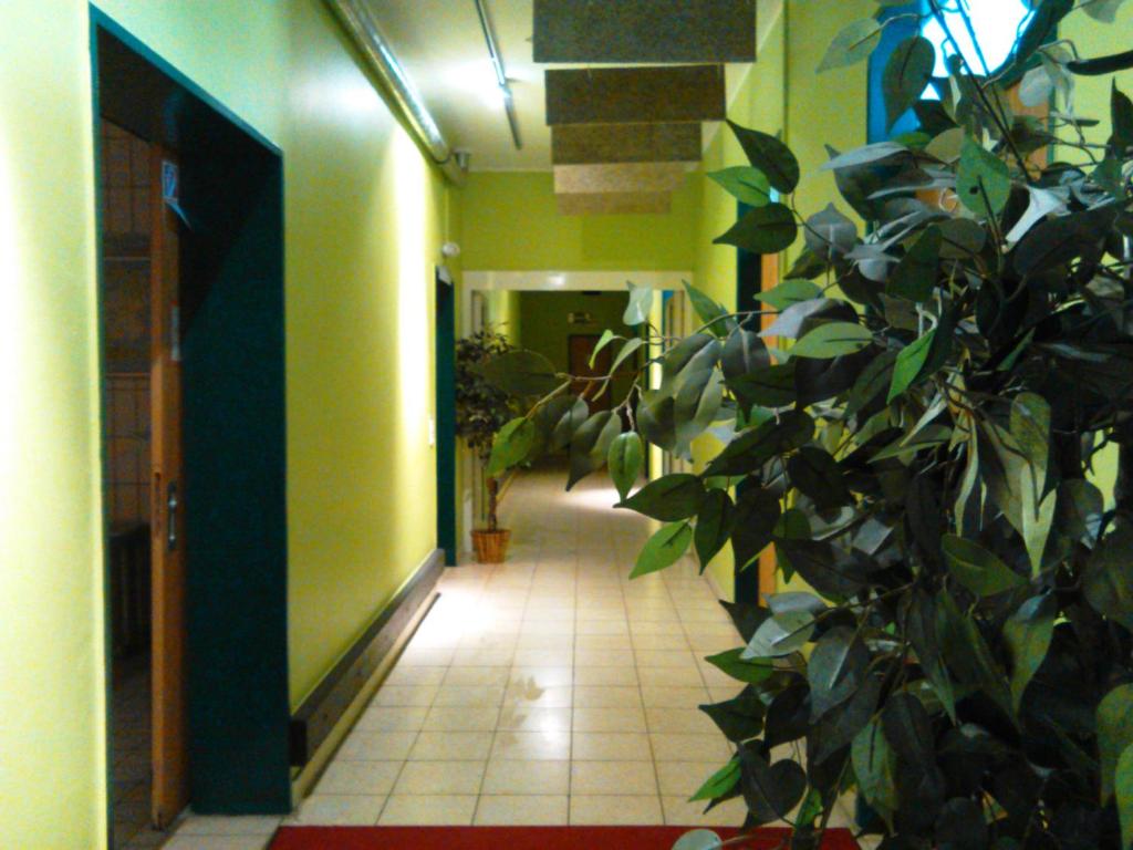 Penthouse Backpackers photo