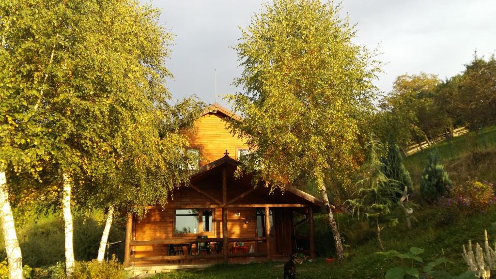 Casa Zara photo