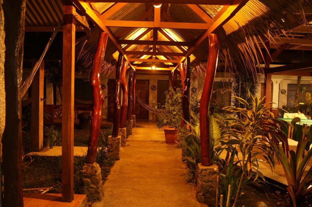 Cabinas Palmer Makanda