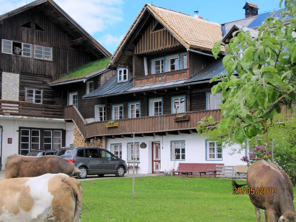 Landl Vorberg — Hotel in Ramsau am Dachstein