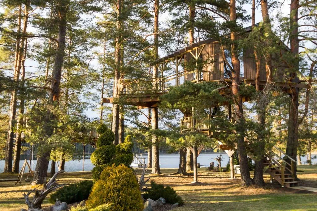 Treehouse Čiekurs, Hotel in Duķuri