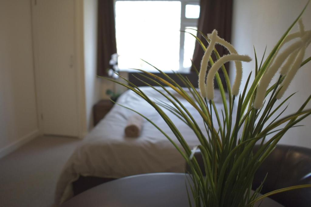 Home and a Stay photo