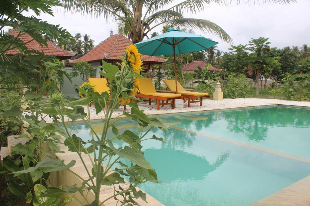 Wani Bali Resort