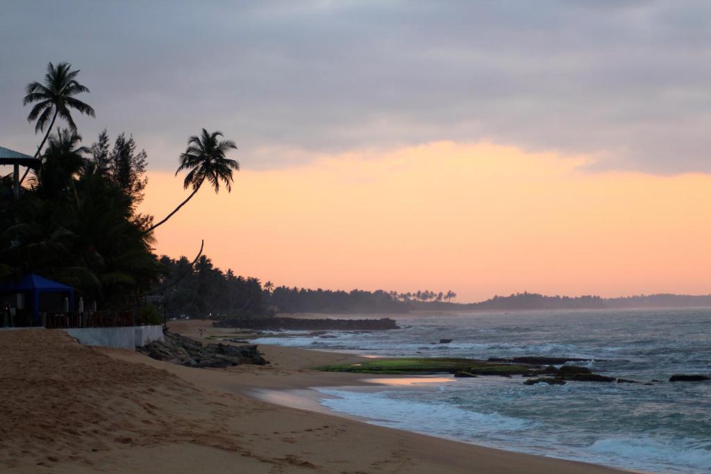 Tangalle Papaa Palace photo