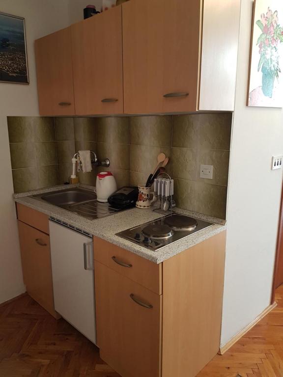 Apartment Slava photo