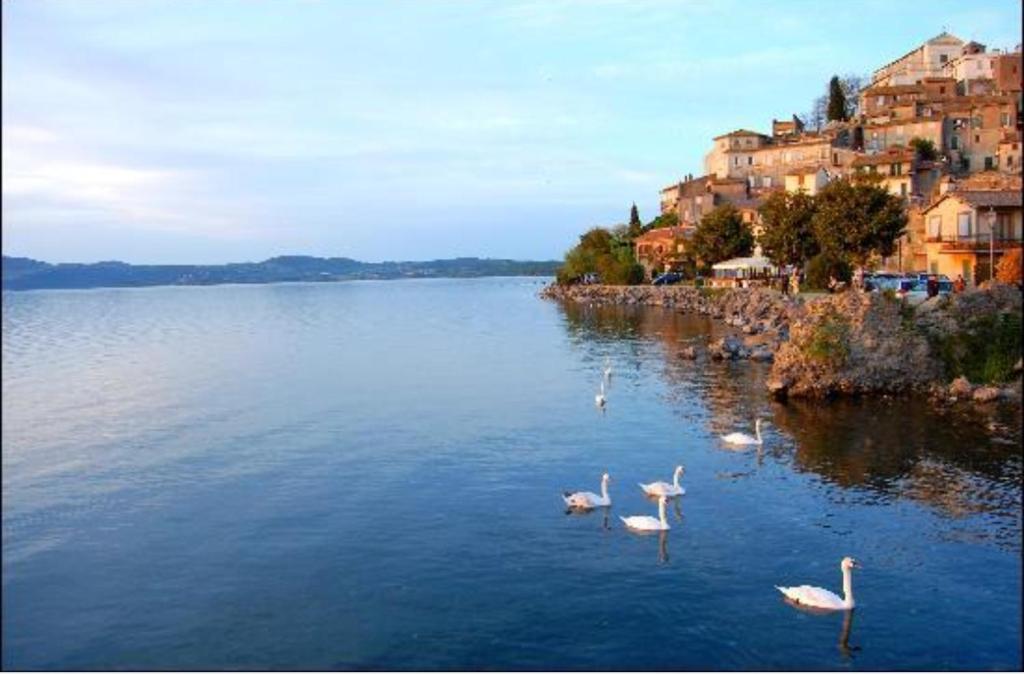 Il B&B del Lago 전경