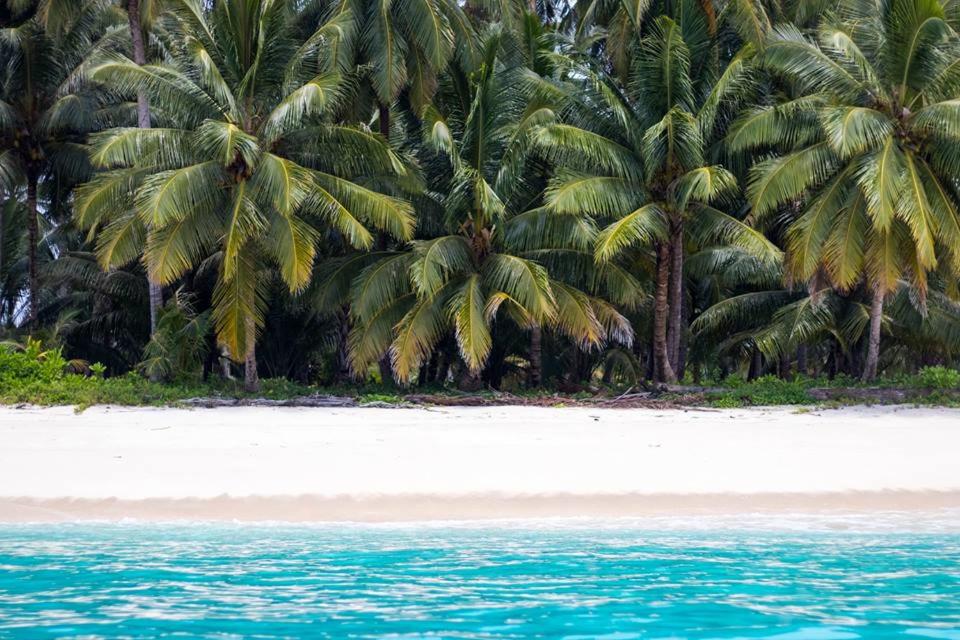 Mentawai Ebay Playground Surfcamp photo