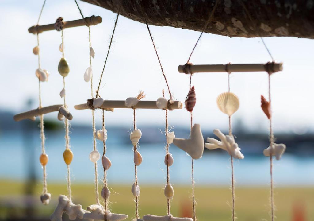 Programlehetőségek