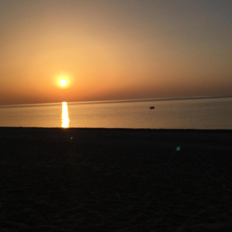 Ozge Bungalow Hotel photo