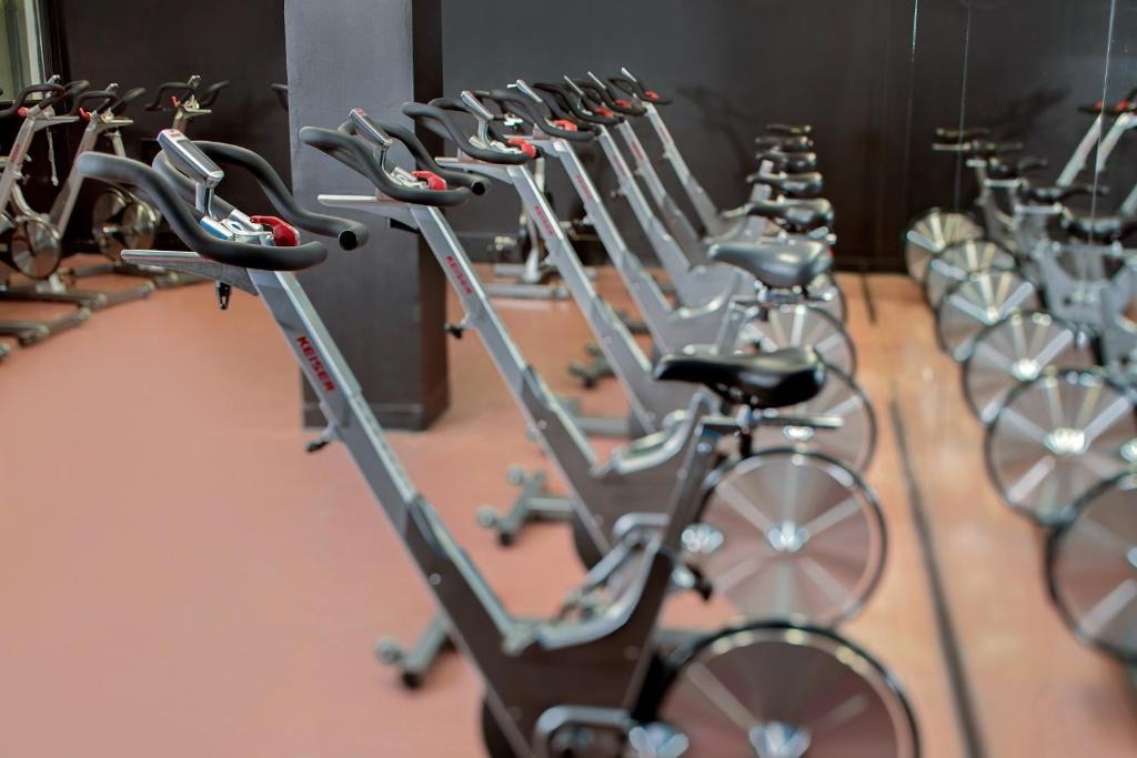 Gimnasio