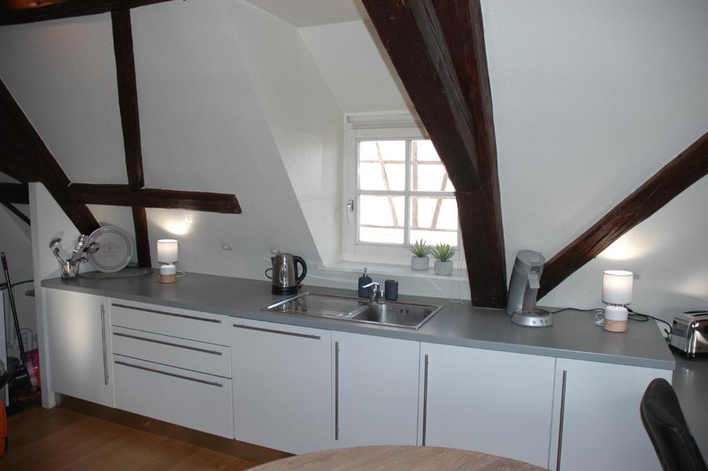 appartement à Colmar - 5
