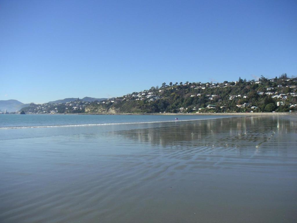 Surrounding environment