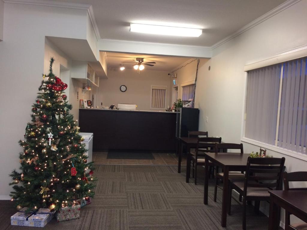 Cactus Tree Inn photo