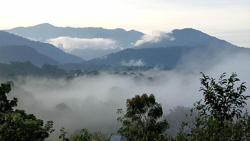 Surrounding environment
