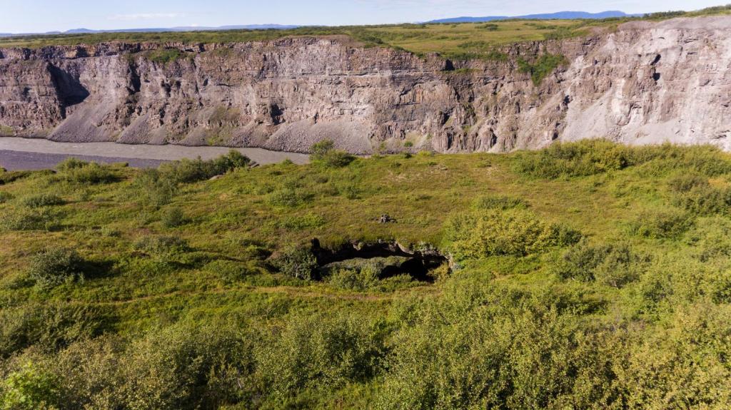 Surrounding environment
