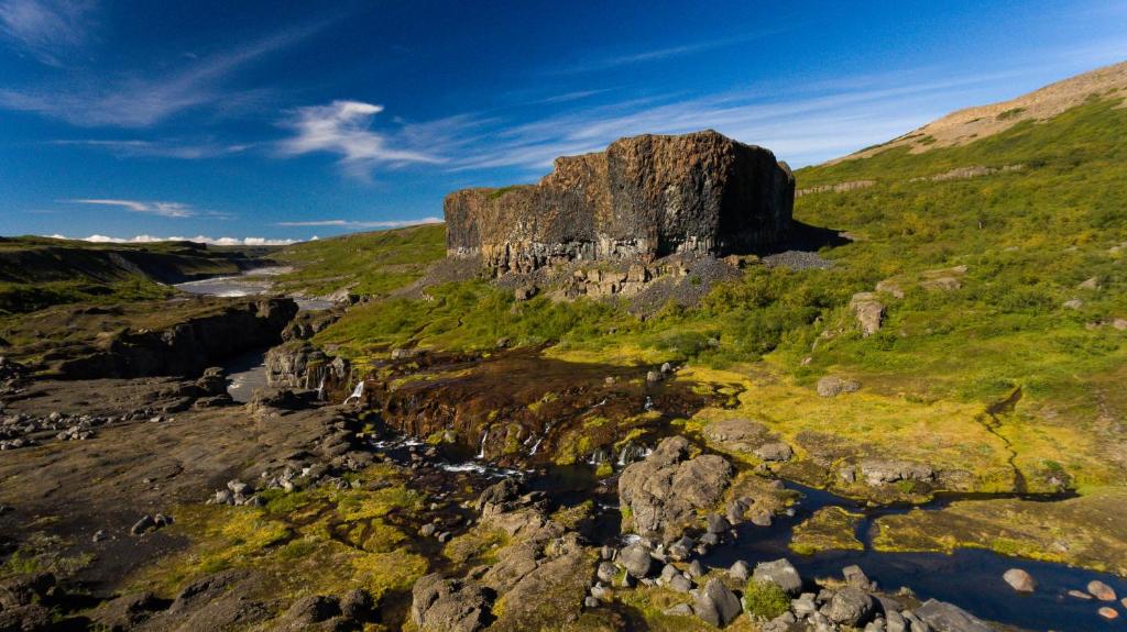 Surrounding environment