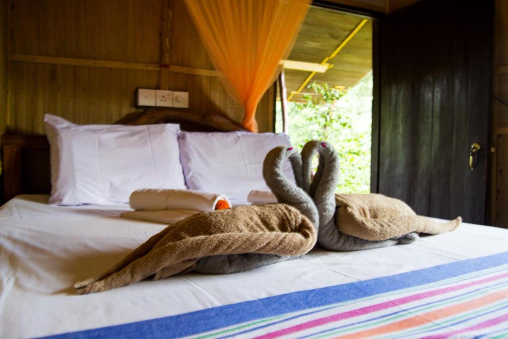 Anushka Nera Nature House photo