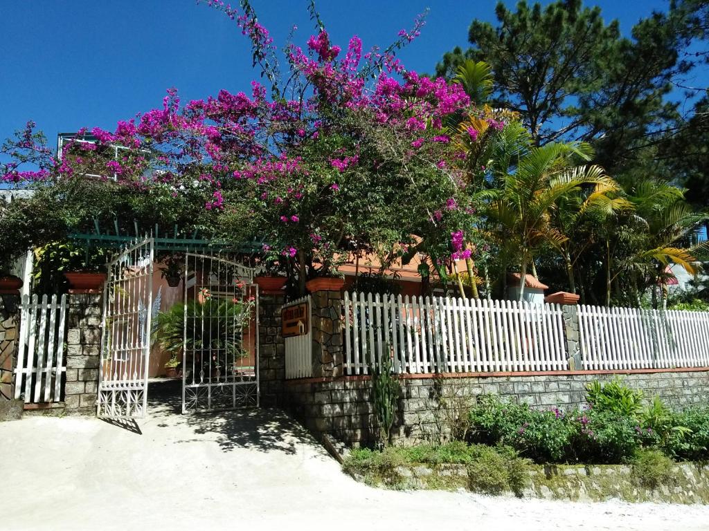 Hoa Dat Guesthouse photo