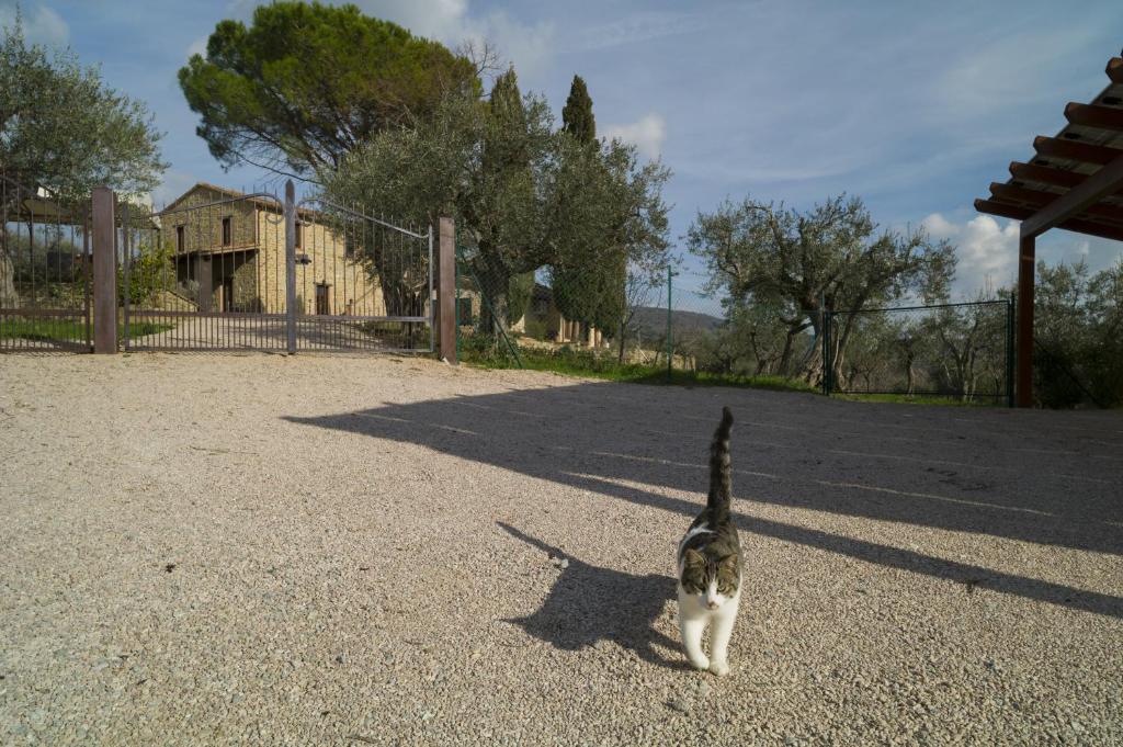 Antico Casale Tiravento photo