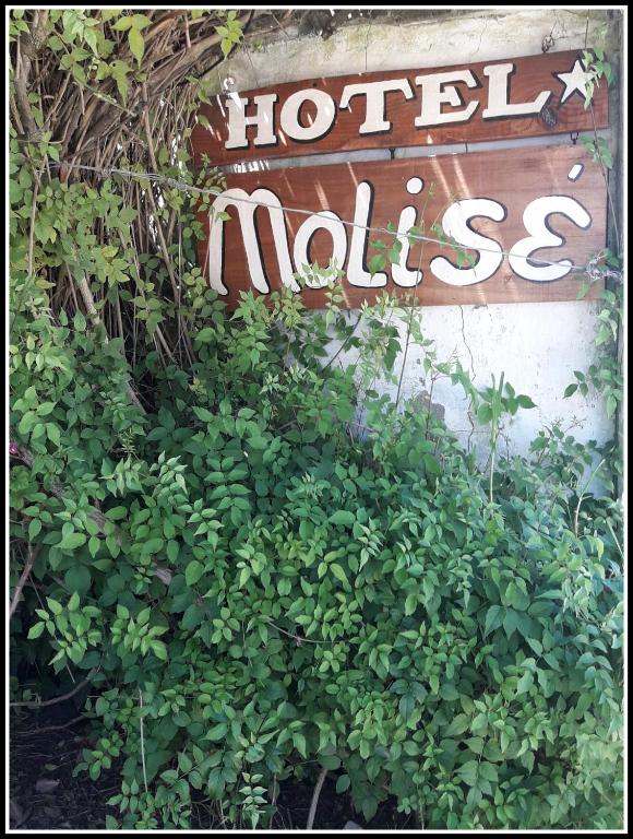 Hotel Molise - 2