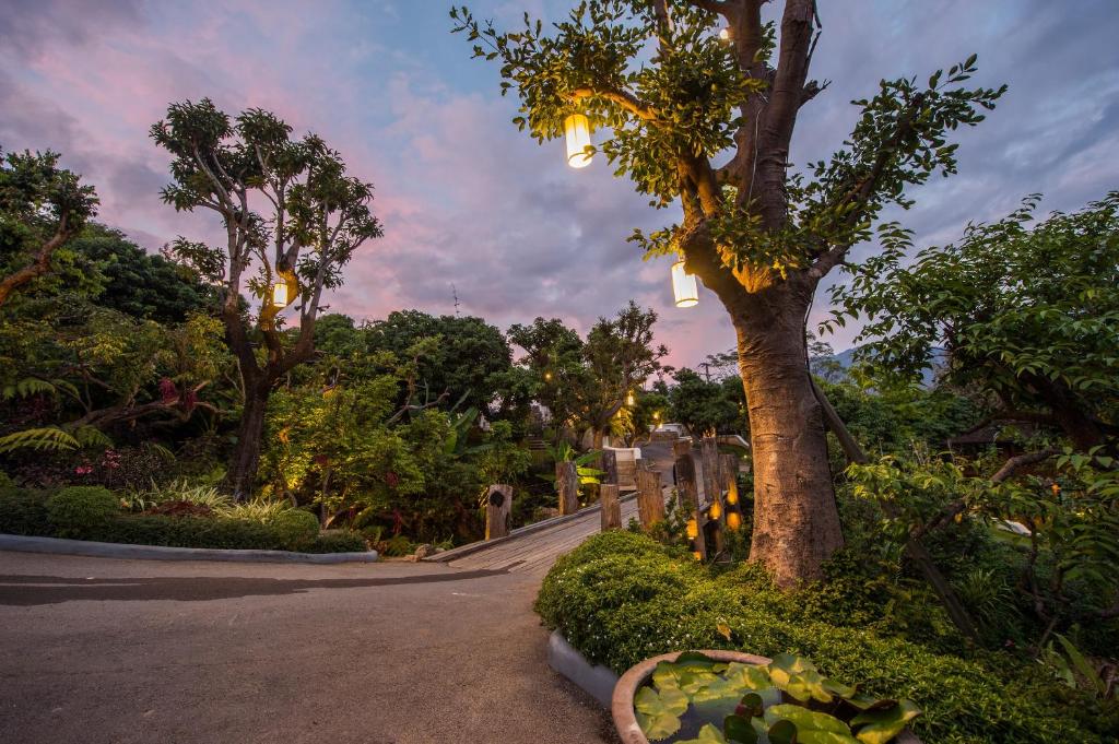 Surrounding environment