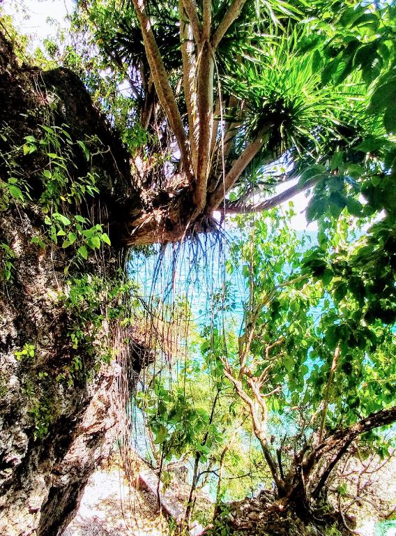 Surrounding environment