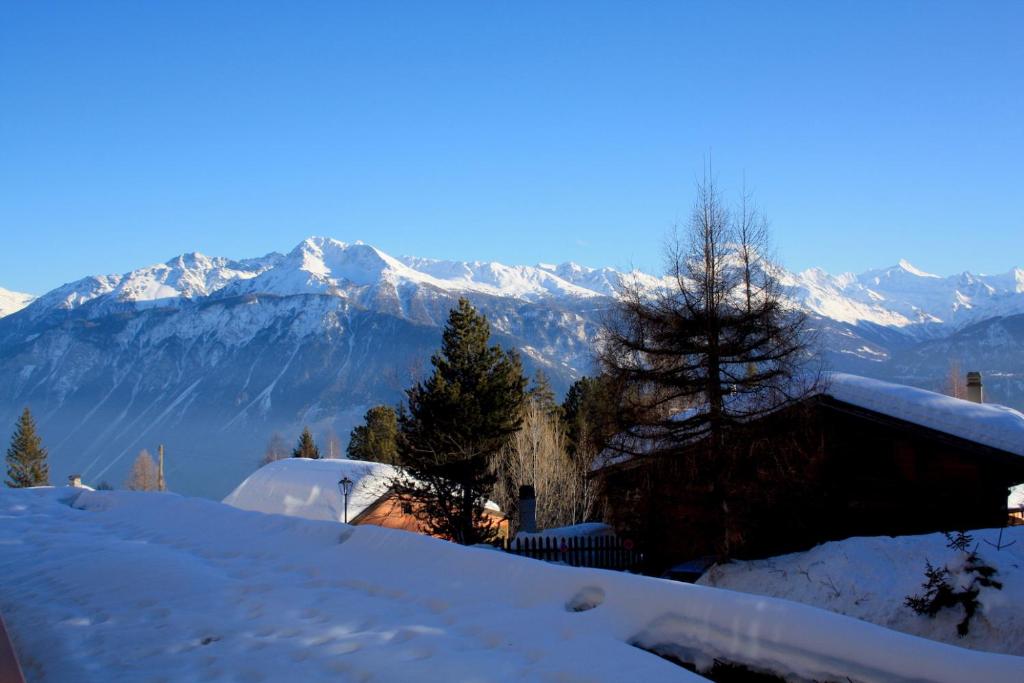 Residence Arnica — Hotel in Crans Montana