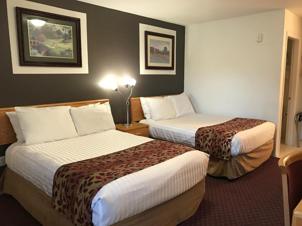 Cactus Tree Inn photo