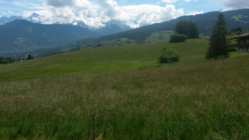 Rez de chaussée très calme vue Mont-Blanc - 5