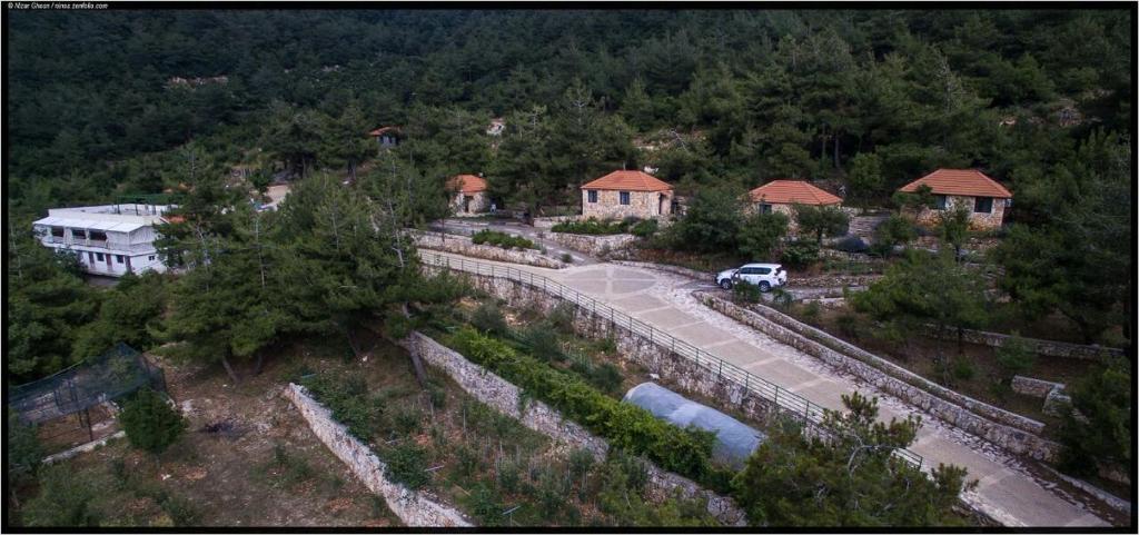 Surrounding environment