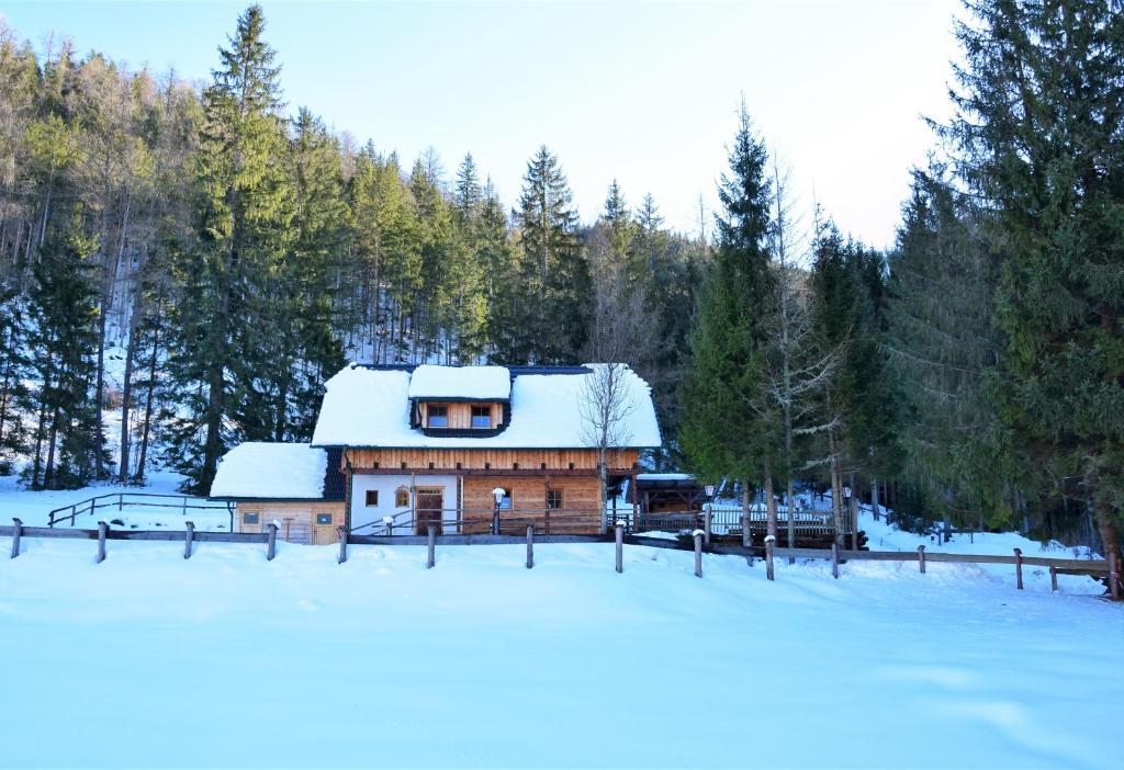 Ferienhaus Dirnbacher Hütte - 2
