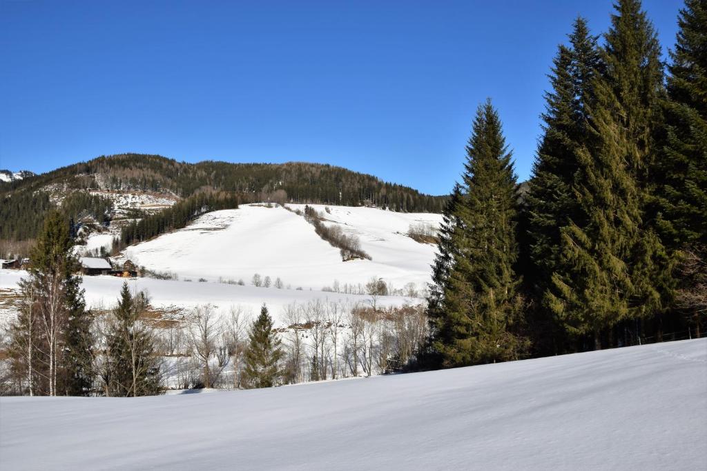 Ferienhaus Dirnbacher Hütte - 5