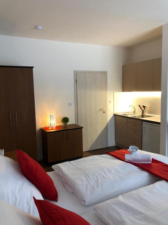 Apartmany AAALIPNO 전경