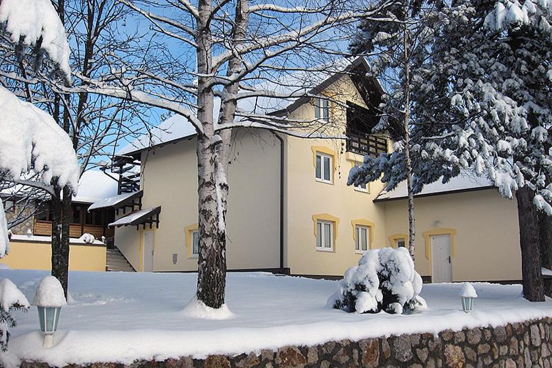 Vila Novak — Hotel in Zlatibor