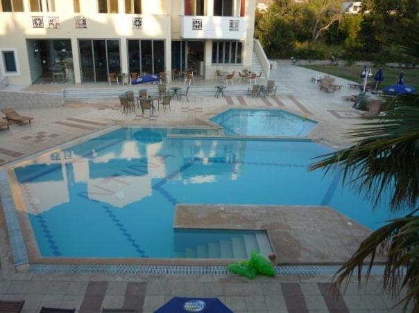 Olgas Paradise Apartments — Swimming pool in Kos Town, South Aegean